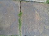 image of grave number 948087